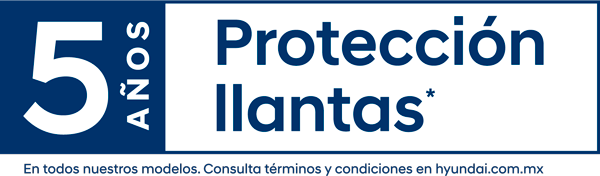 5 años de protección de llantas