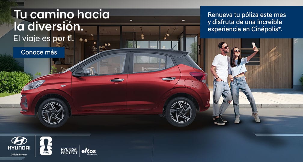 Hyundai Protect