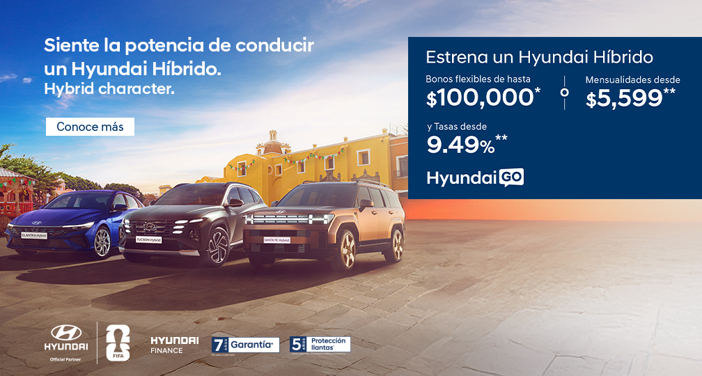 Hyundai HEV´s