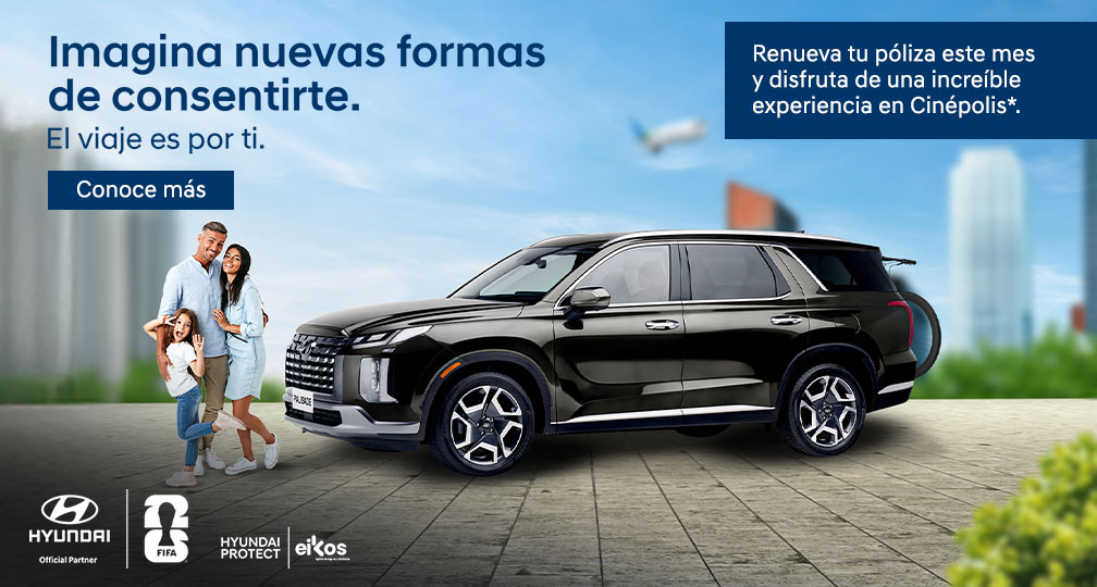 Hyundai Protect