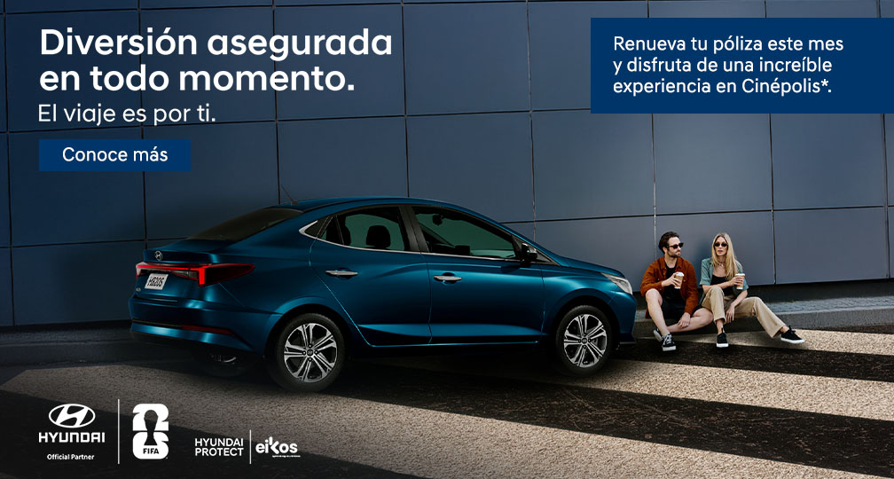 Hyundai Protect