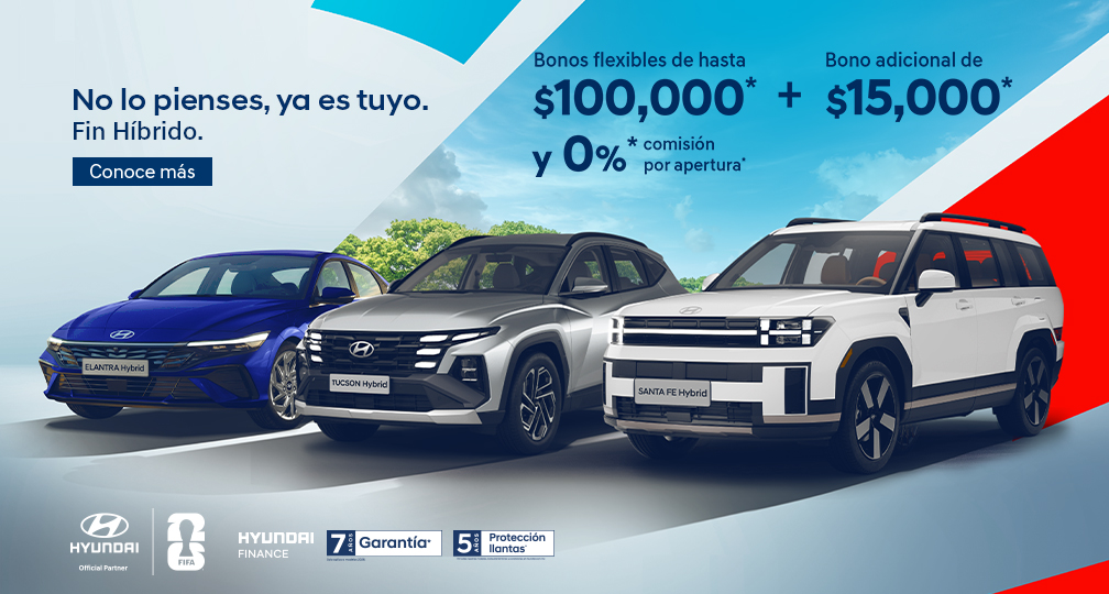 Fin Híbrido Hyundai