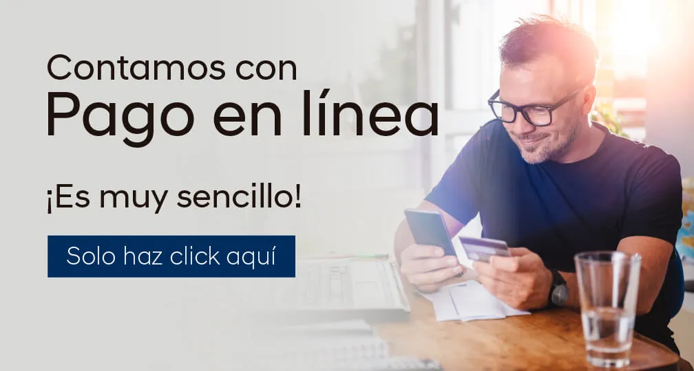 Pago en linea Satelite